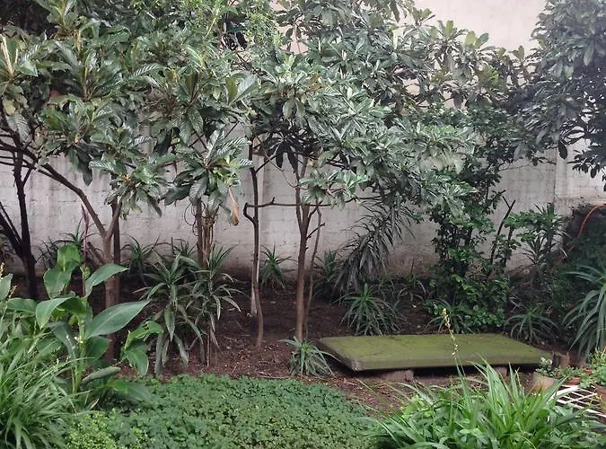 Casa Margarita Coyoacan Bed & Breakfast Mexico City