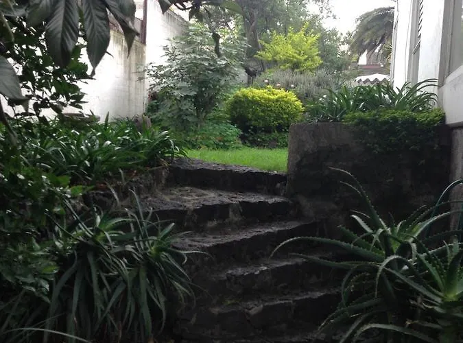 Casa Margarita Coyoacan Bed & Breakfast